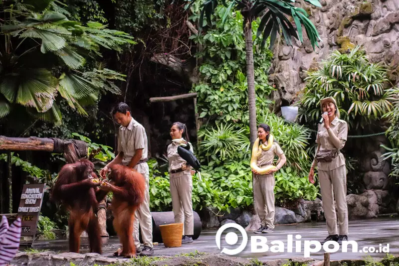 Animal Show Bali Safari