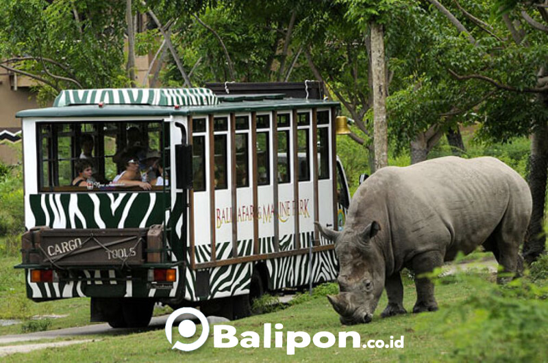 safari journey trip bali
