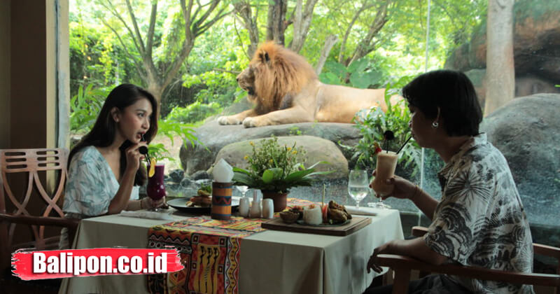 Breakfast with lion Bali Safari