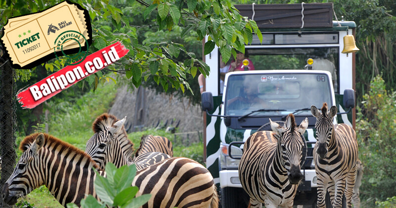 Tiket Bali Safari
