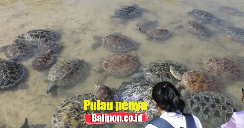 Pulau Penyu Bali